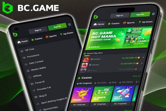 BC.Game Login Process A Comprehensive Guide BC.Game Login Process A Comprehensive Guide