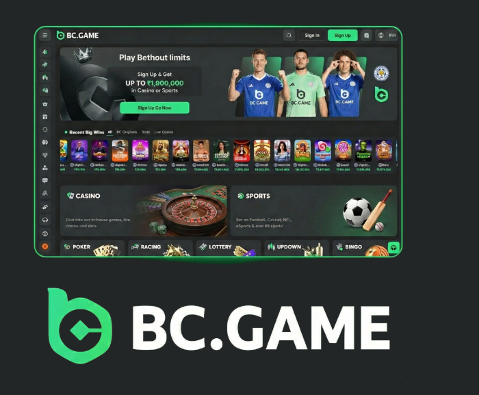 Understanding the BC.Game Login Process Step-by-Step Guide Understanding the BC.Game Login Process Step-by-Step Guide